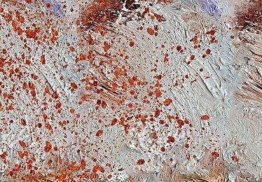 温馨治愈探索模拟游戏《小生物咖啡馆》现已正式推出 获得好评